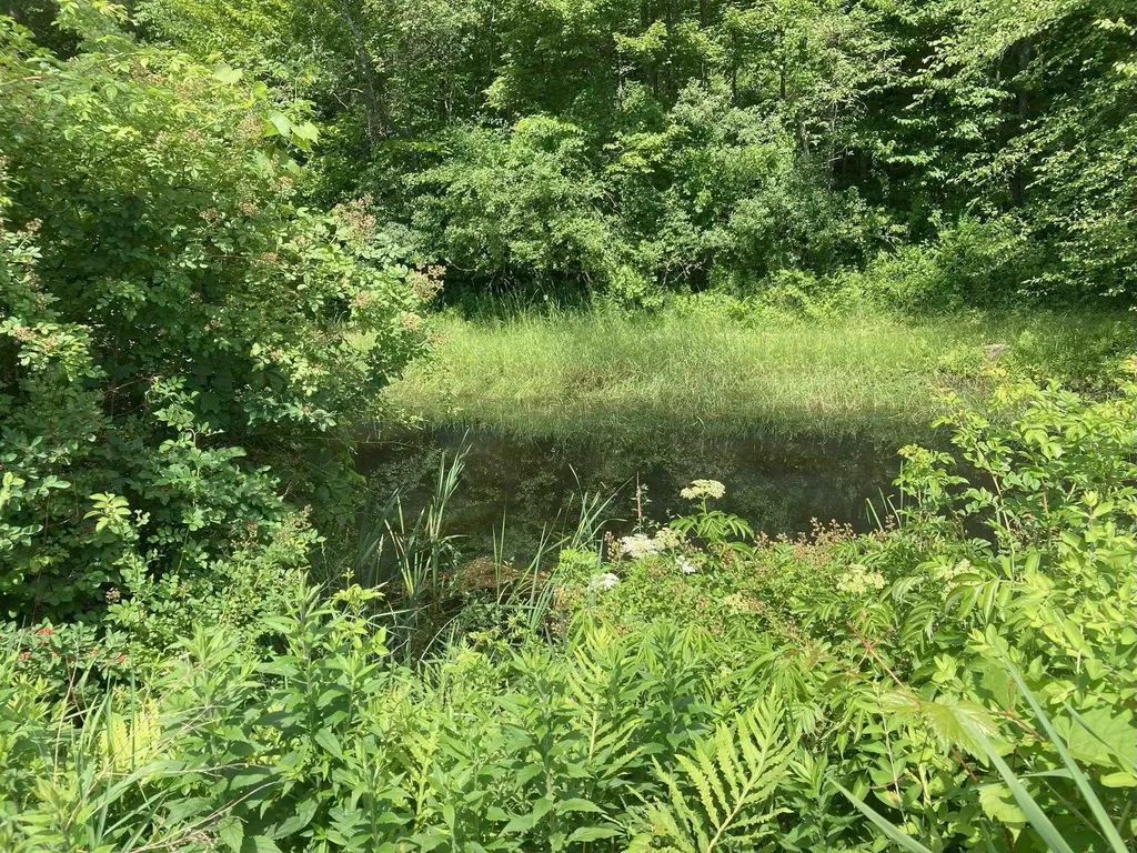 152 Parkview Road Springfield VT 05156