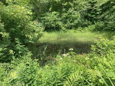 152 Parkview Road Springfield VT 05156