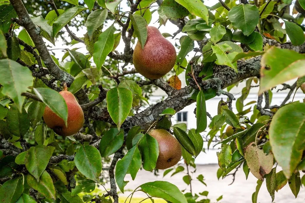 366 Old Concord Turnpike Barrington NH 03825