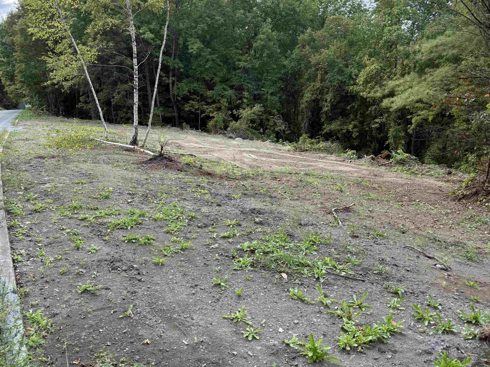 00 Lafayette Street St. Johnsbury VT 05819