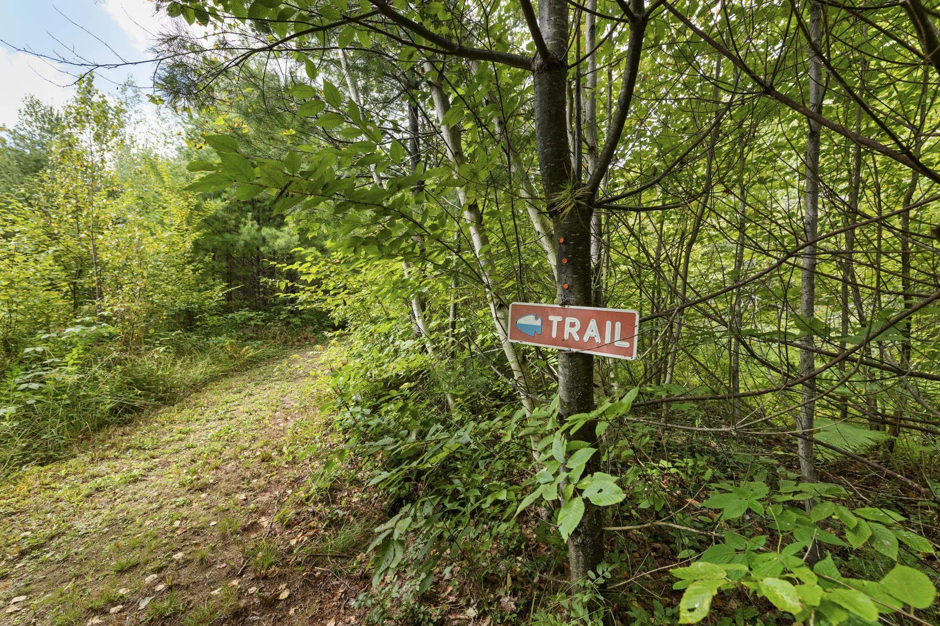 461 Welton Falls Road Alexandria NH 03222