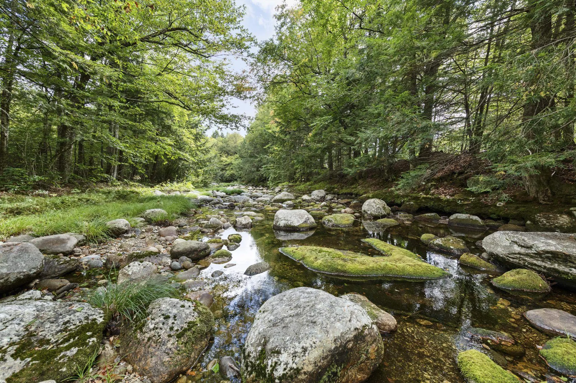 461 Welton Falls Road Alexandria NH 03222