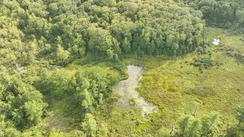 50 Mulhall Farm Road Antrim NH 03440