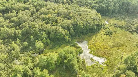 50 Mulhall Farm Road Antrim NH 03440