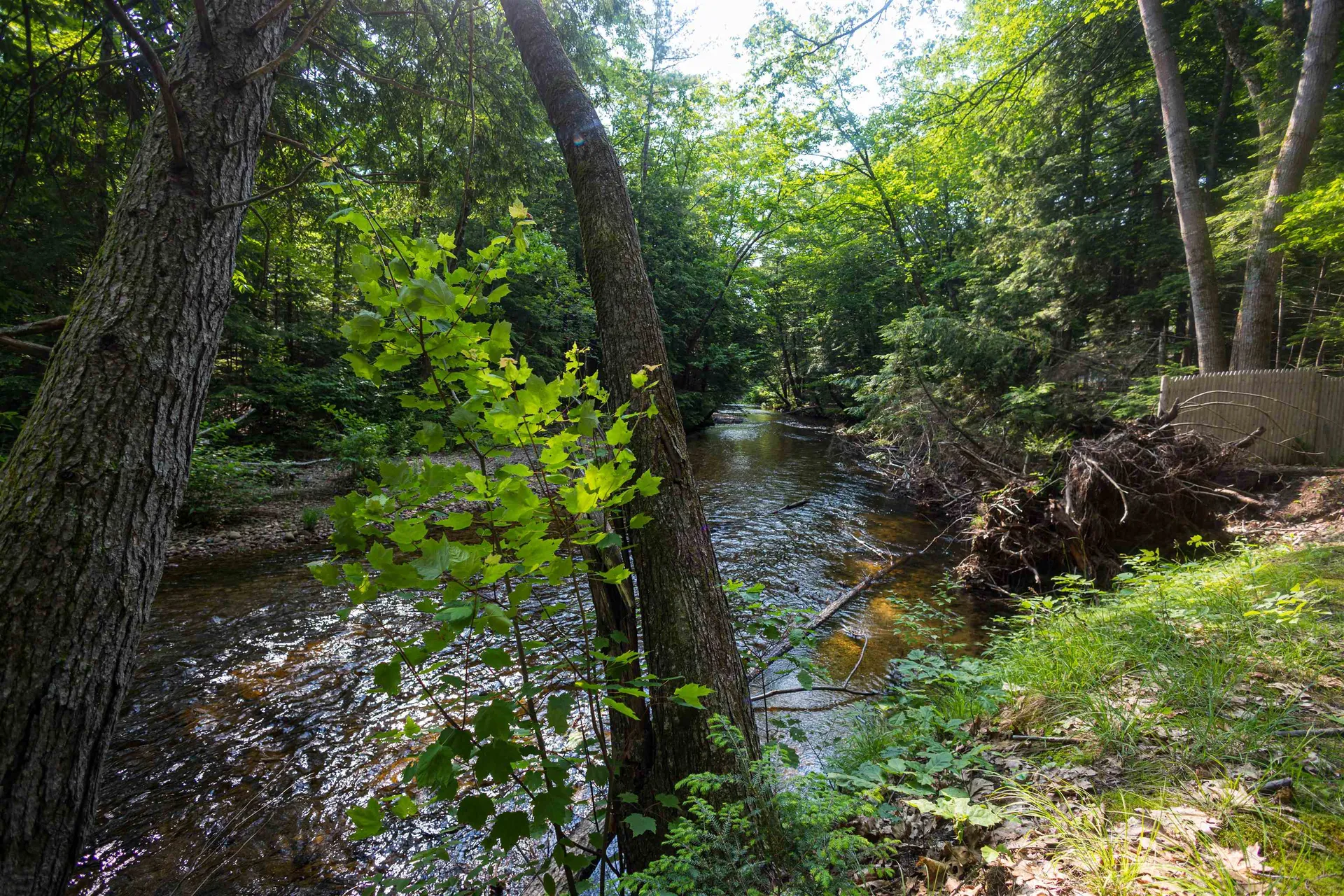 527 Tamworth Road Tamworth NH 03886