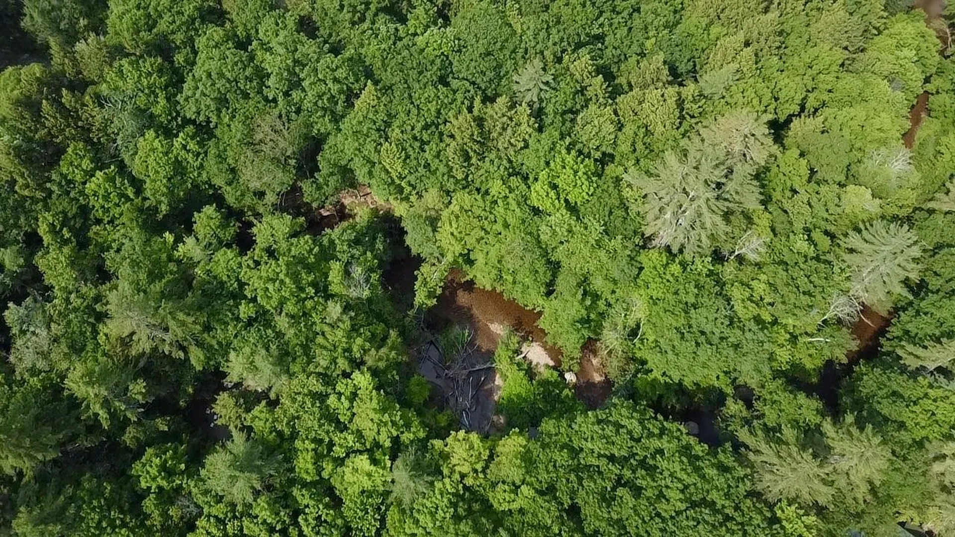 527 Tamworth Road Tamworth NH 03886