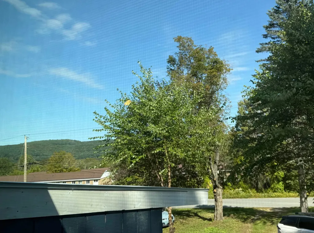 221 A Southridge Street Springfield VT 05156