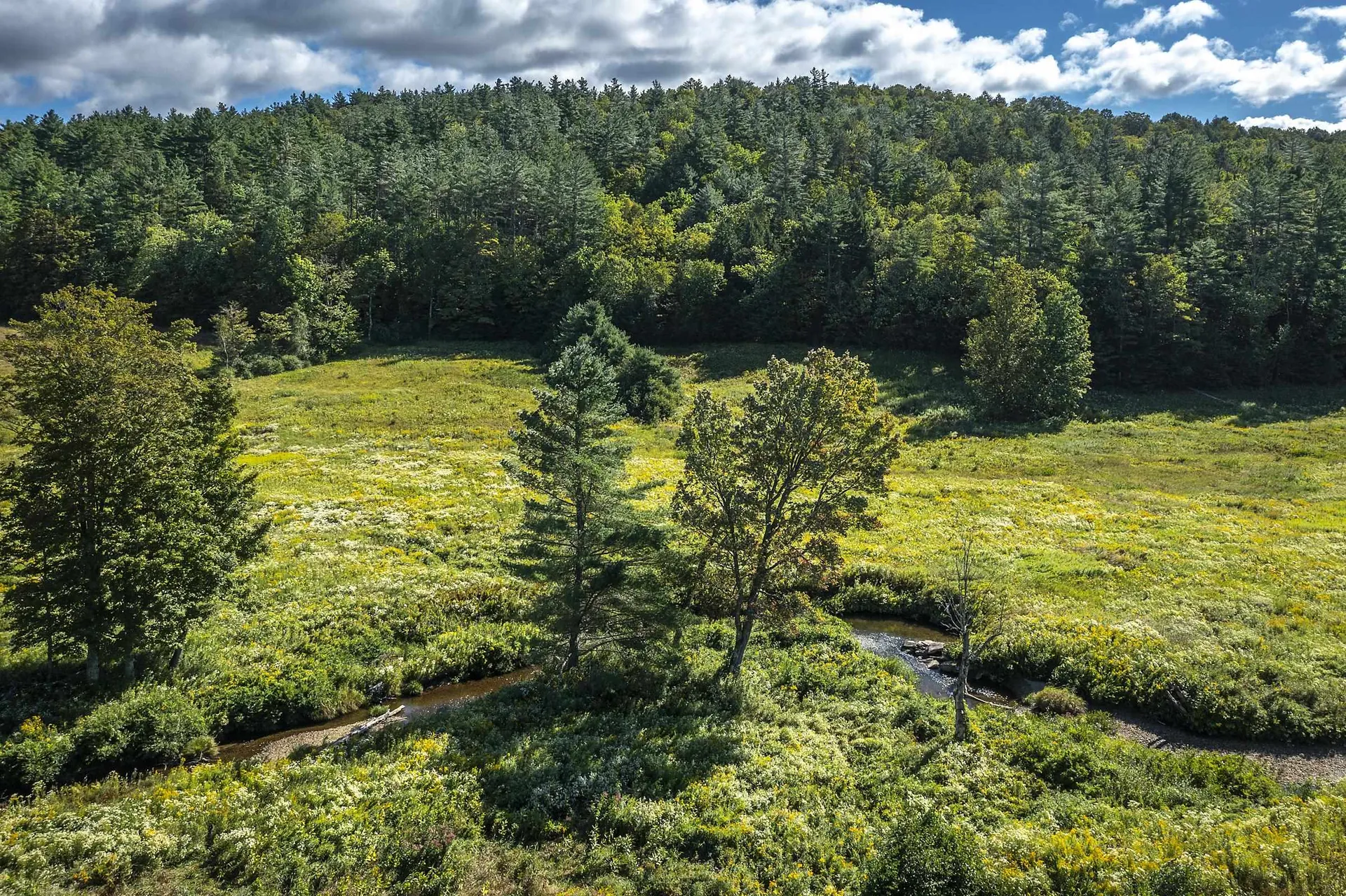 2651 Twenty Mile Stream Road Cavendish VT 05143