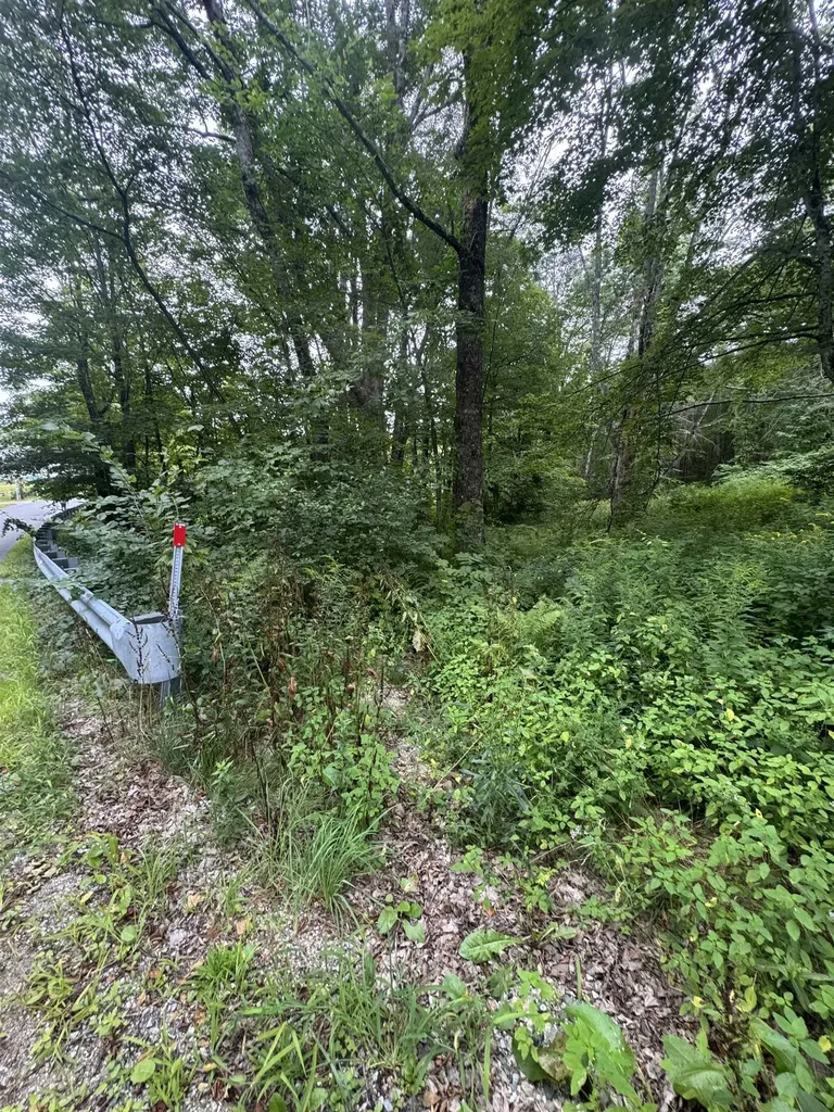 M:027 L:002-001 Sheridan Road Moultonborough NH 03254