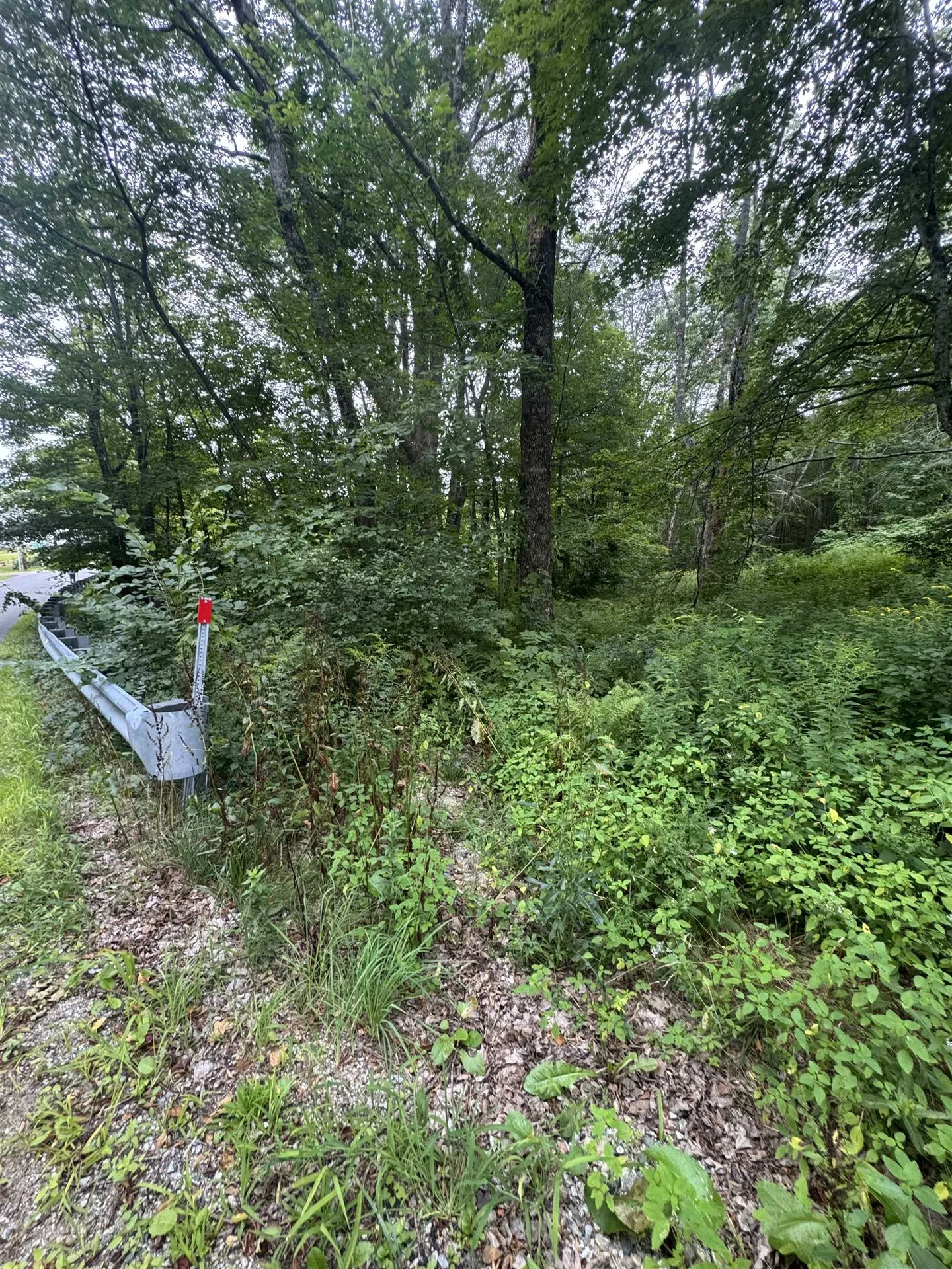 M:027 L:002-001 Sheridan Road Moultonborough NH 03254