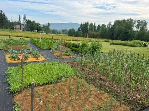 1245 Milan Road Milan NH 03588