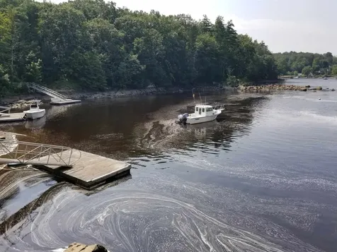 6 Bay Road Newmarket NH 03857