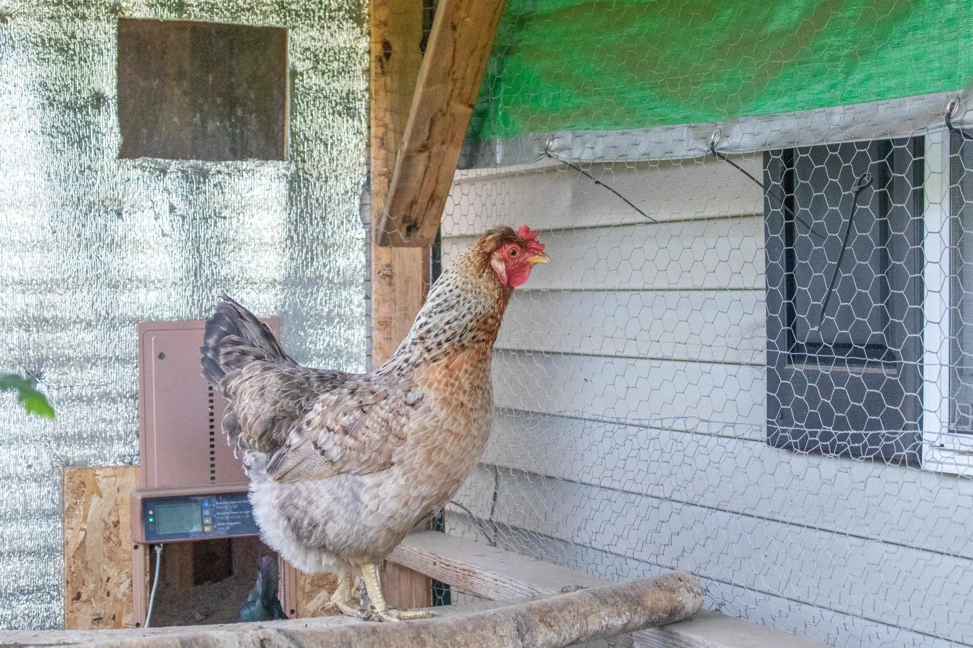 429 Roy Street Derby VT 05829