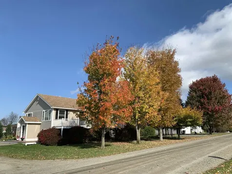 429 Roy Street Derby VT 05829