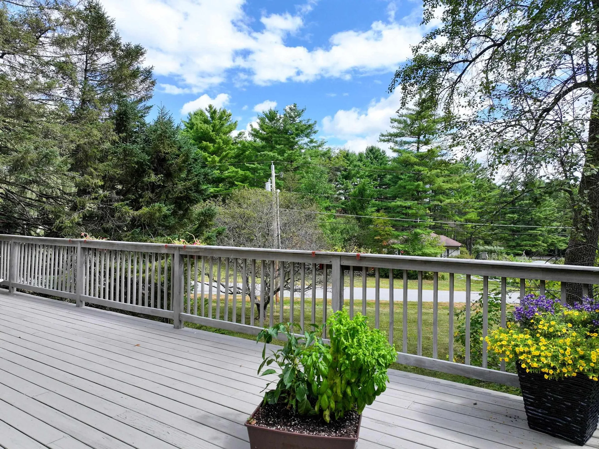 220 Painter Hills Road Middlebury VT 05753