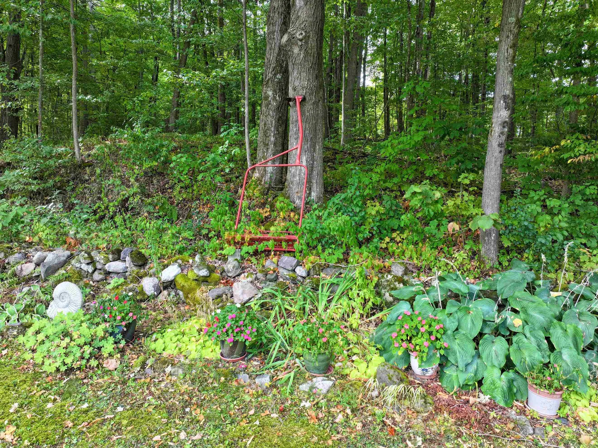 220 Painter Hills Road Middlebury VT 05753