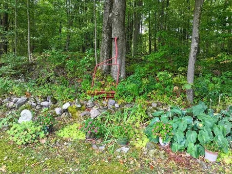 220 Painter Hills Road Middlebury VT 05753