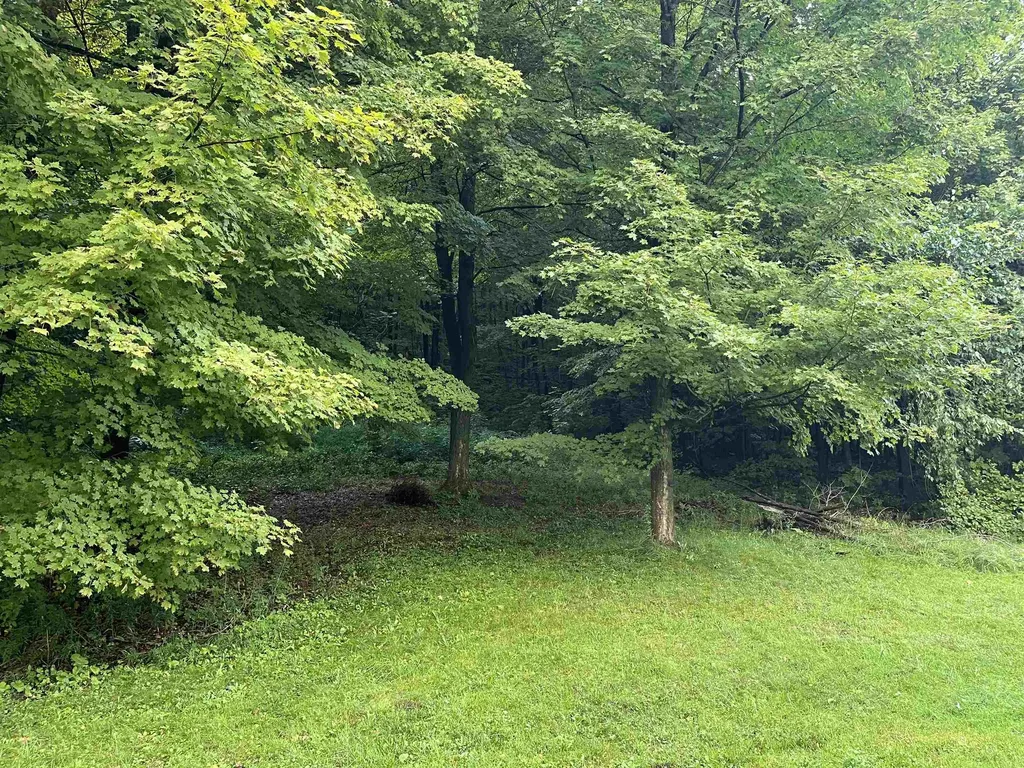 2364 Bristol Road Monkton VT 05443