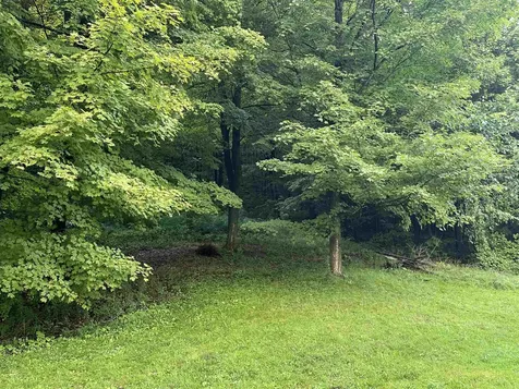 2364 Bristol Road Monkton VT 05443