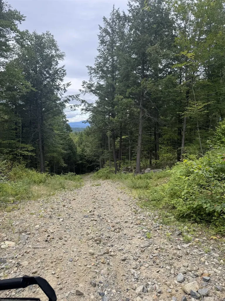 M:027 L:002 Sheridan Road Moultonborough NH 03254