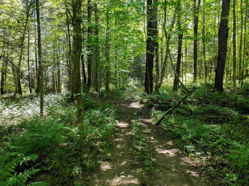 367 Elm Street Pittsford VT 05744