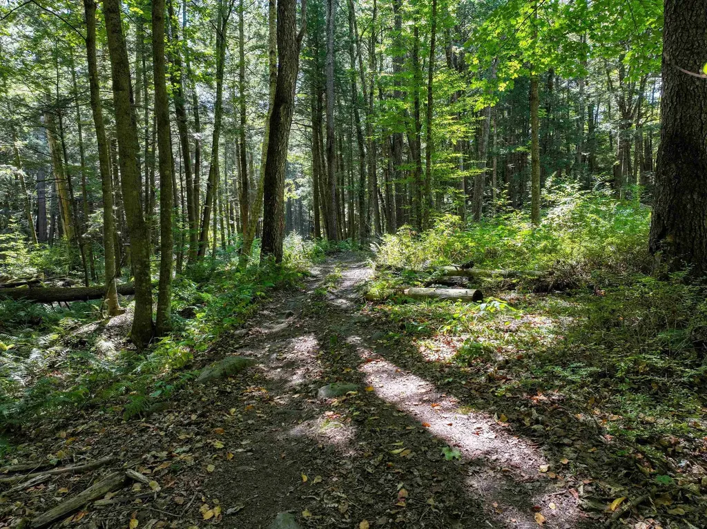 367 Elm Street Pittsford VT 05744