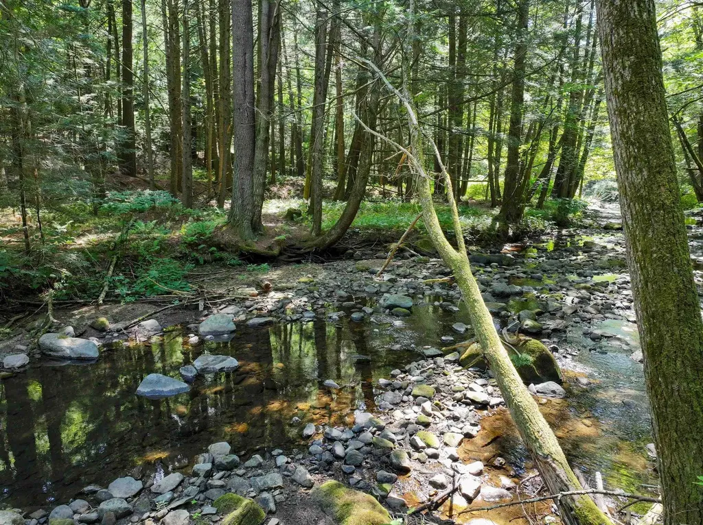 367 Elm Street Pittsford VT 05744