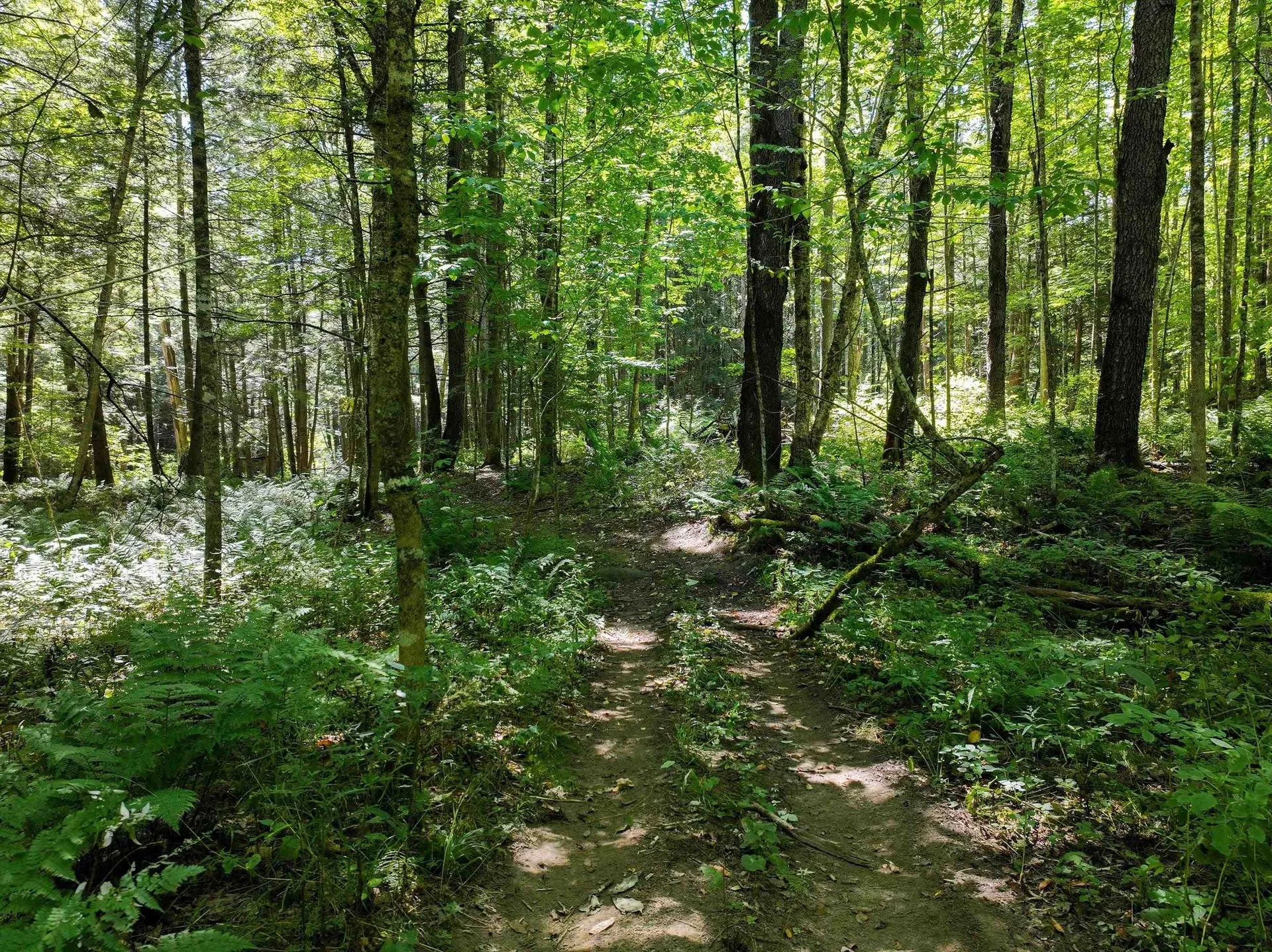 367 Elm Street Pittsford VT 05744