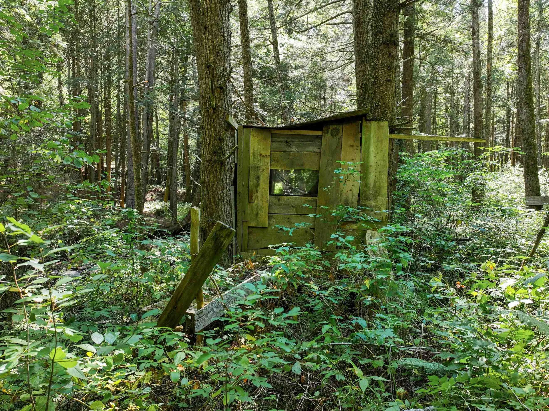 367 Elm Street Pittsford VT 05744