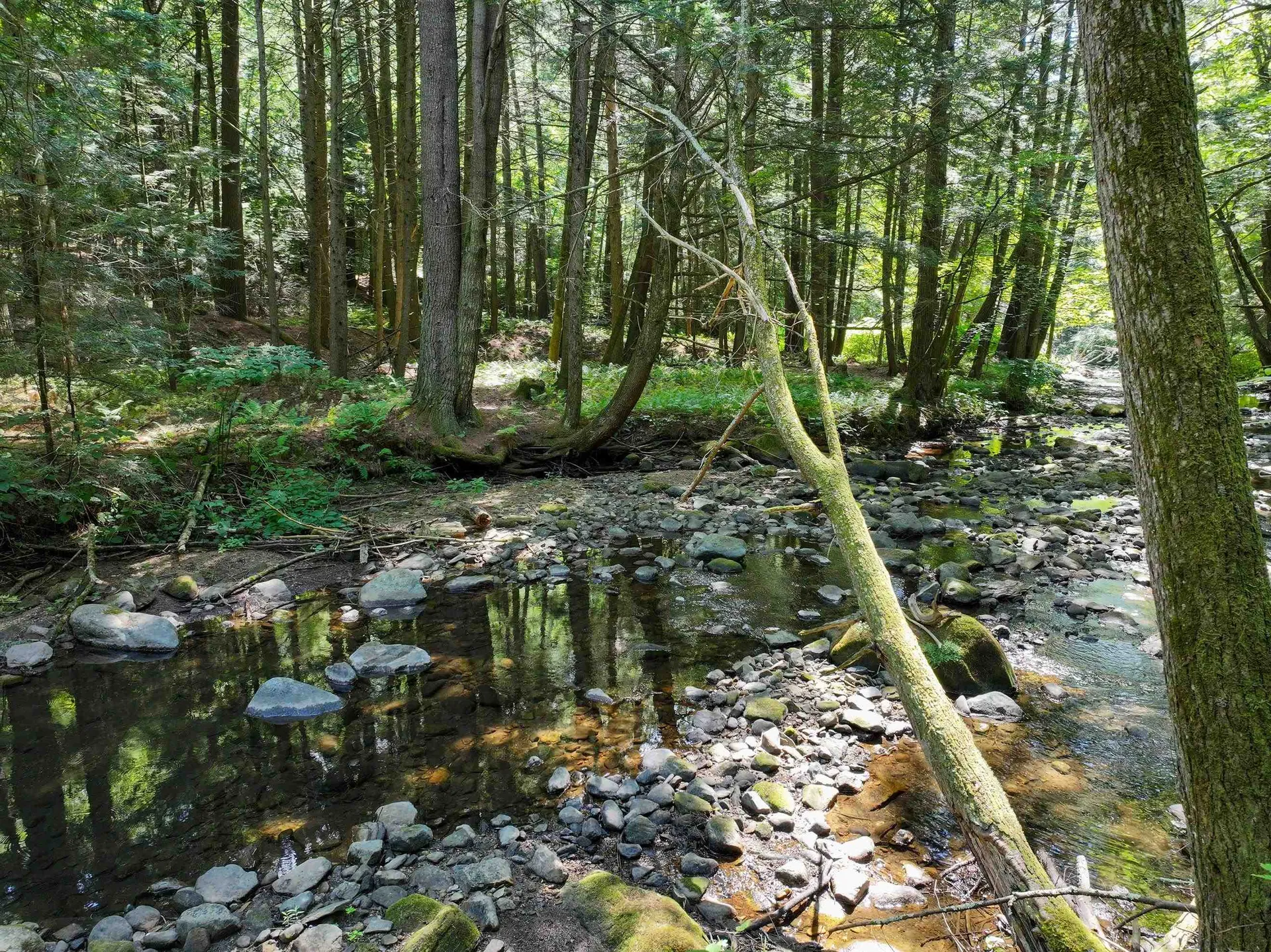 367 Elm Street Pittsford VT 05744