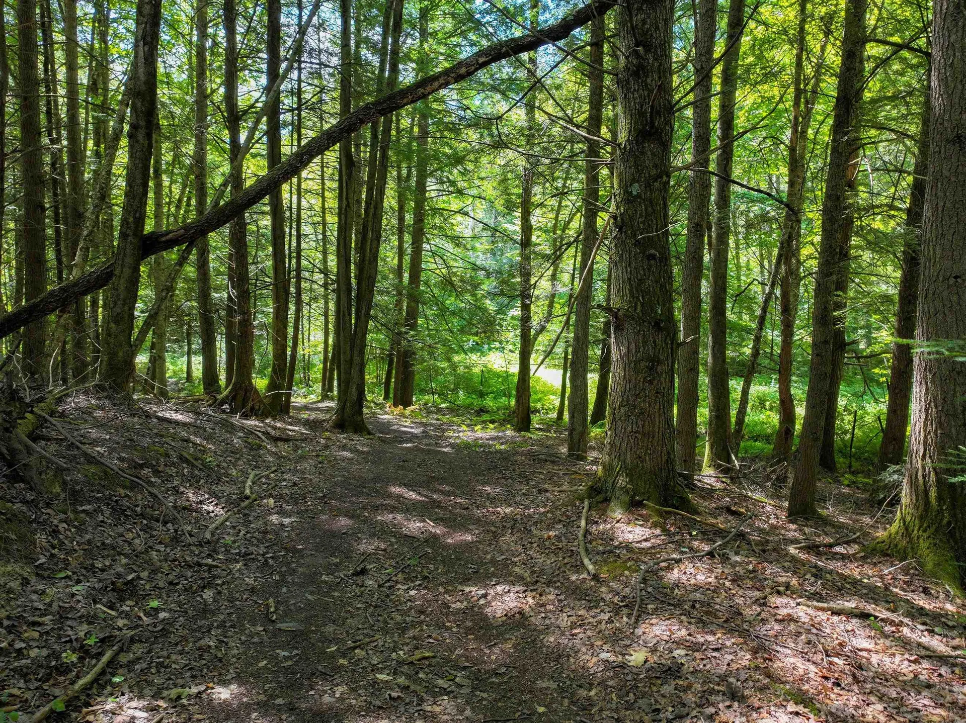 367 Elm Street Pittsford VT 05744