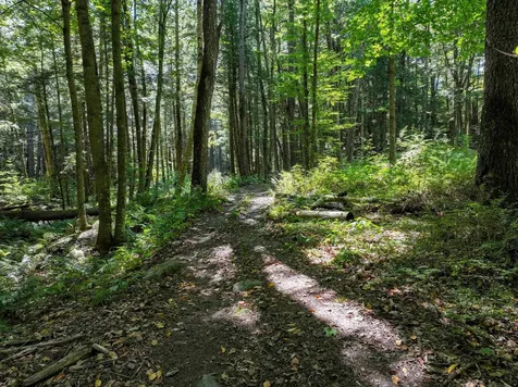 367 Elm Street Pittsford VT 05744