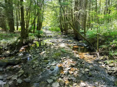 367 Elm Street Pittsford VT 05744