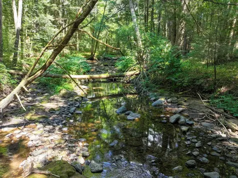 367 Elm Street Pittsford VT 05744