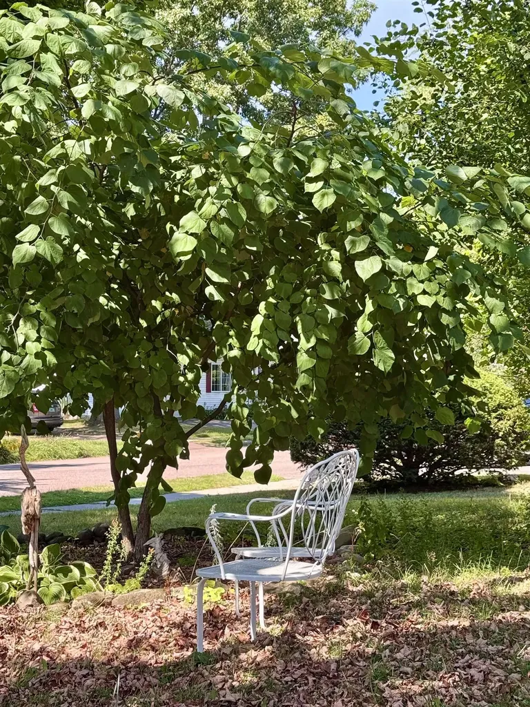 112 South Crest Drive Burlington VT 05401