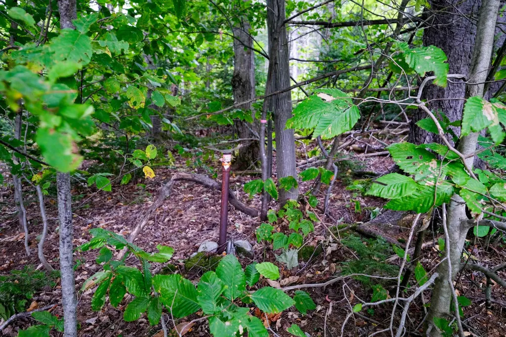 00 Evergreen Acres Ludlow VT 05149