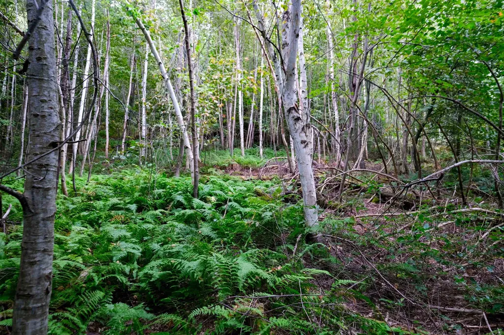 00 Evergreen Acres Ludlow VT 05149