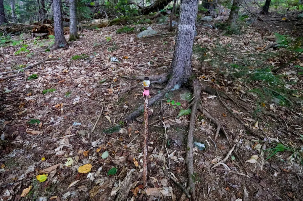 00 Evergreen Acres Ludlow VT 05149