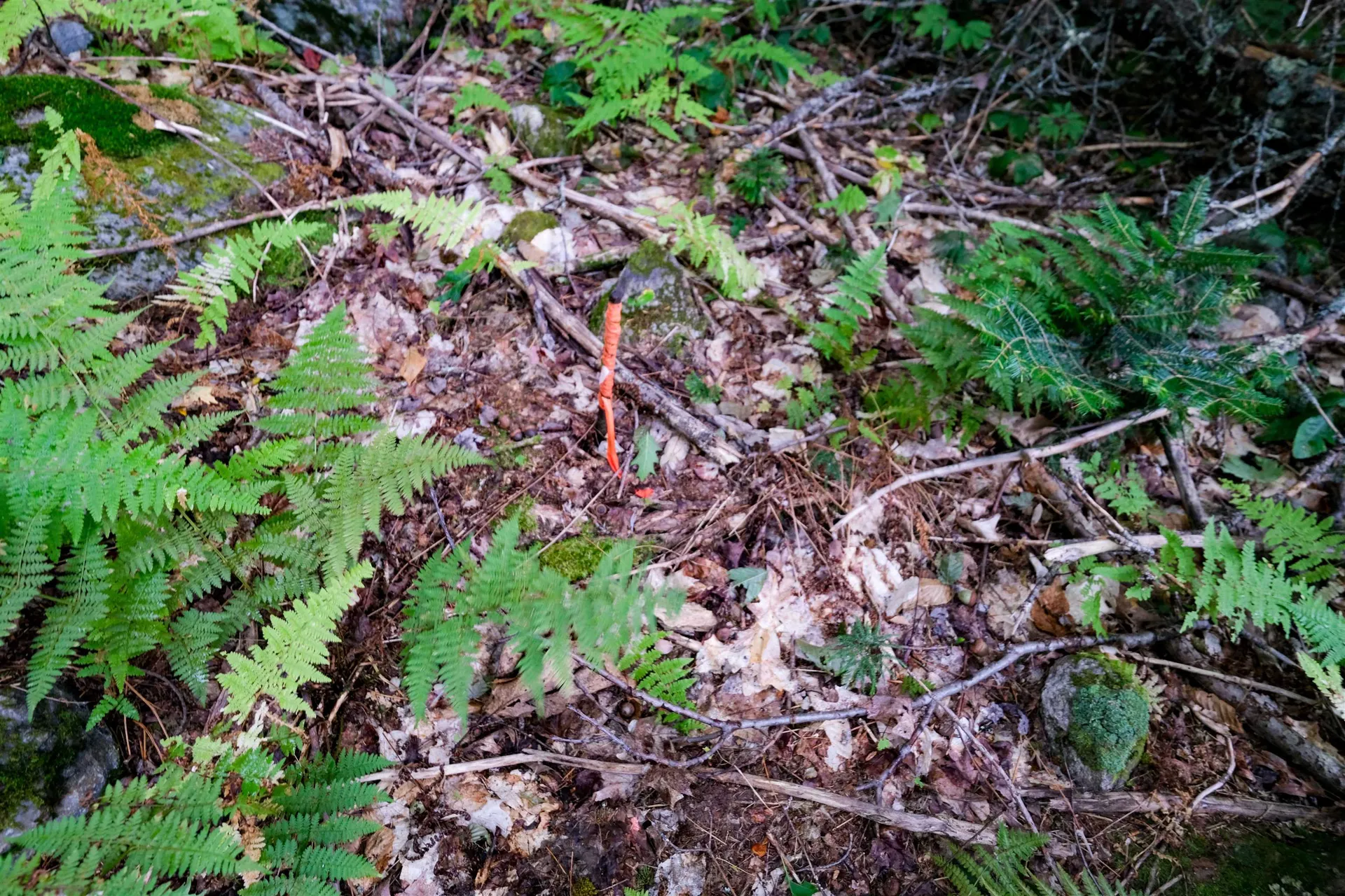 00 Evergreen Acres Ludlow VT 05149