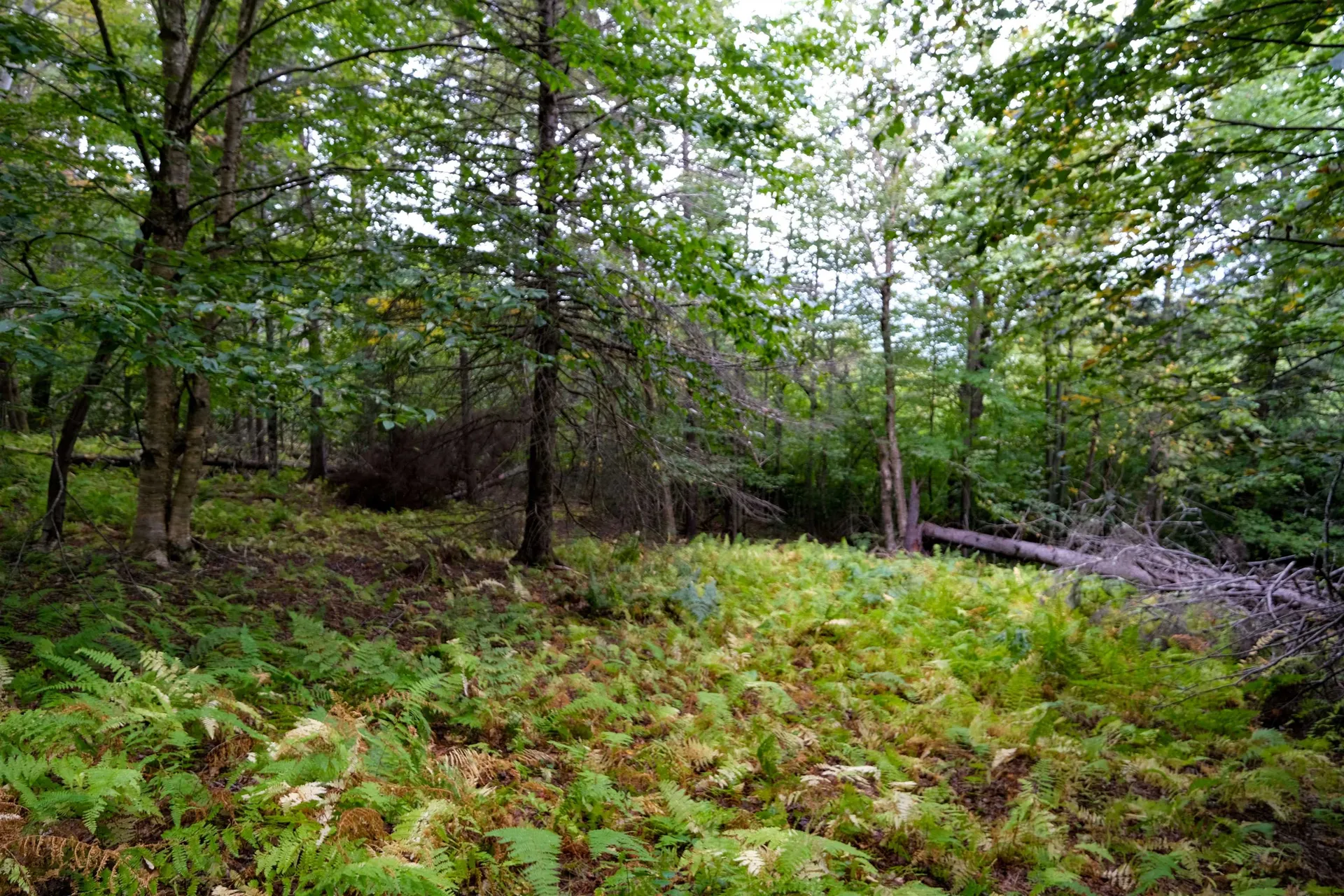 00 Evergreen Acres Ludlow VT 05149