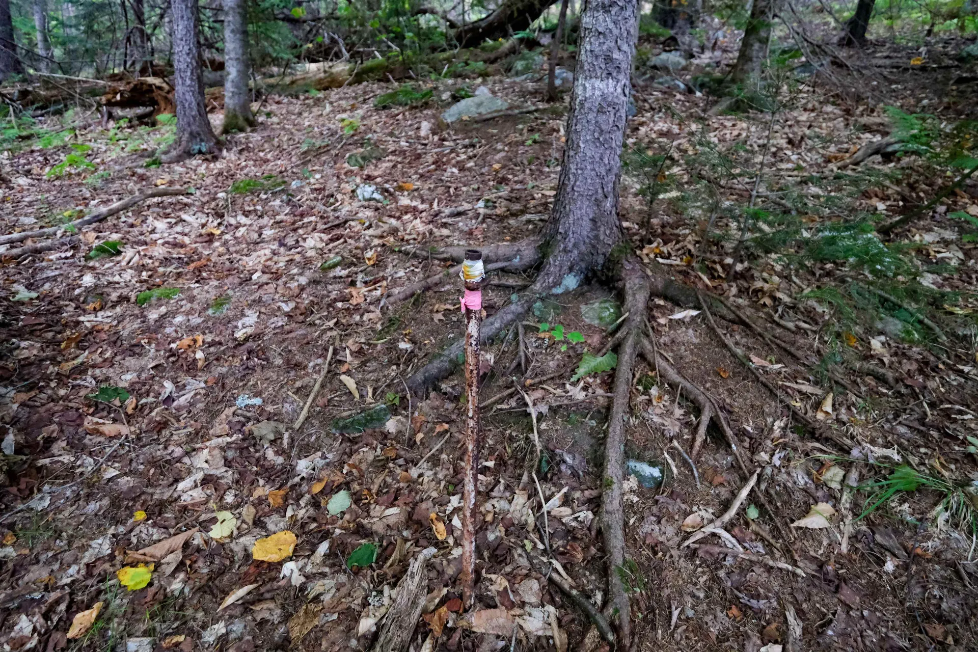 00 Evergreen Acres Ludlow VT 05149