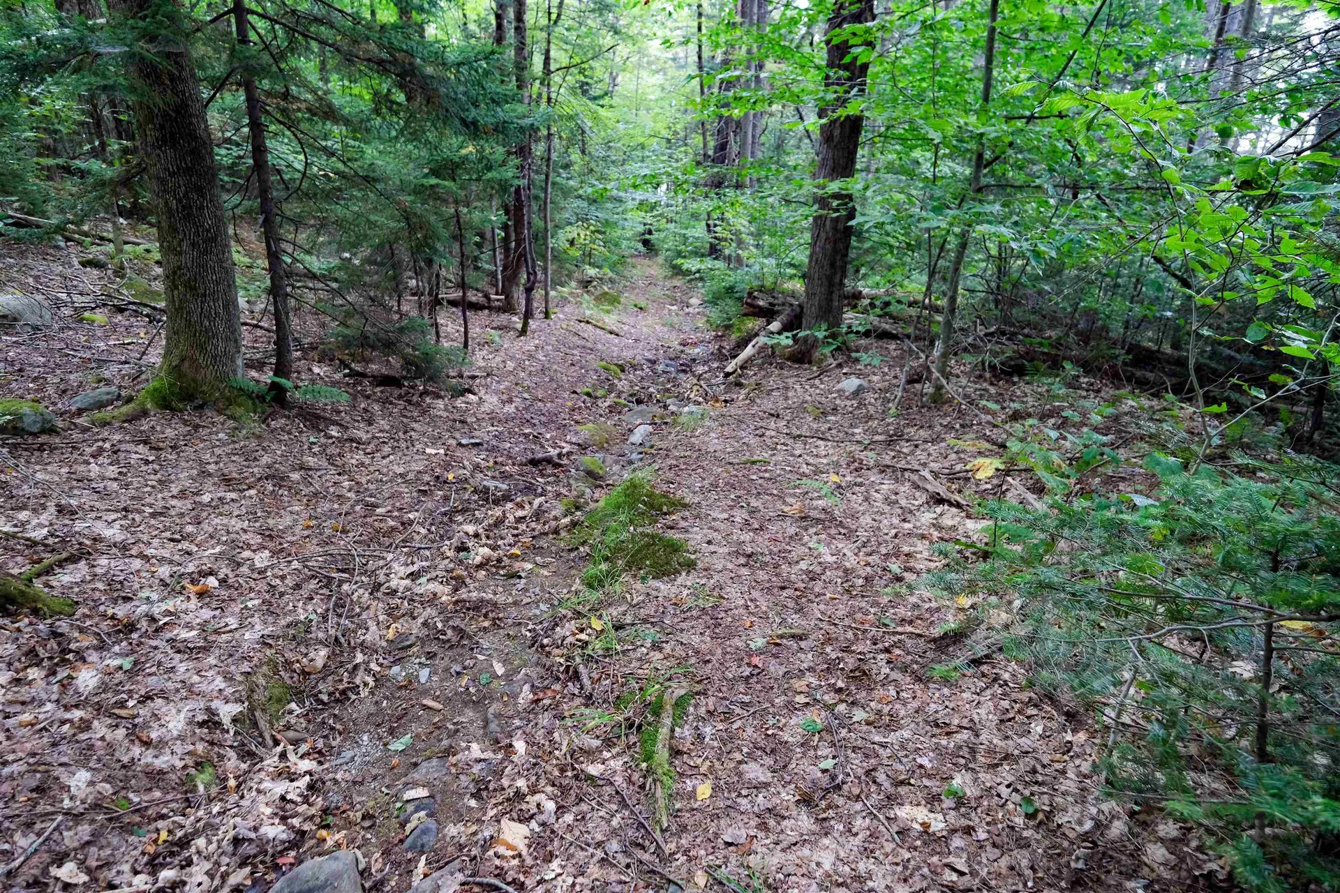 00 Evergreen Acres Ludlow VT 05149