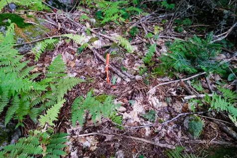 00 Evergreen Acres Ludlow VT 05149