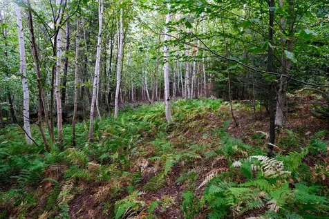 00 Evergreen Acres Ludlow VT 05149