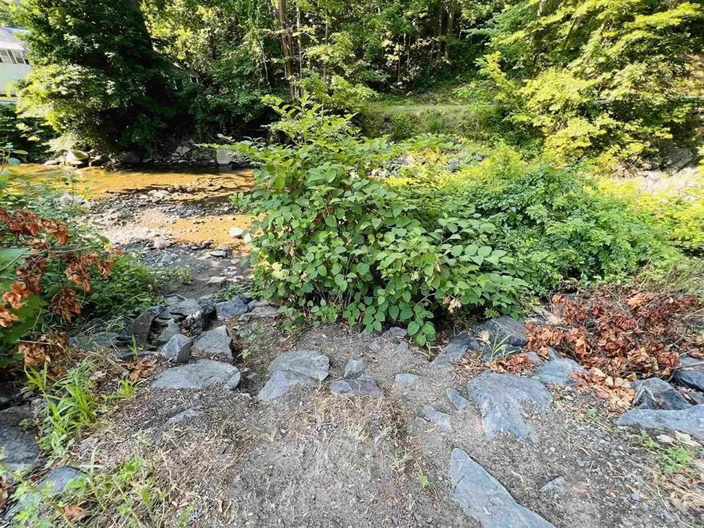 234 Elliot Street Brattleboro VT 05301