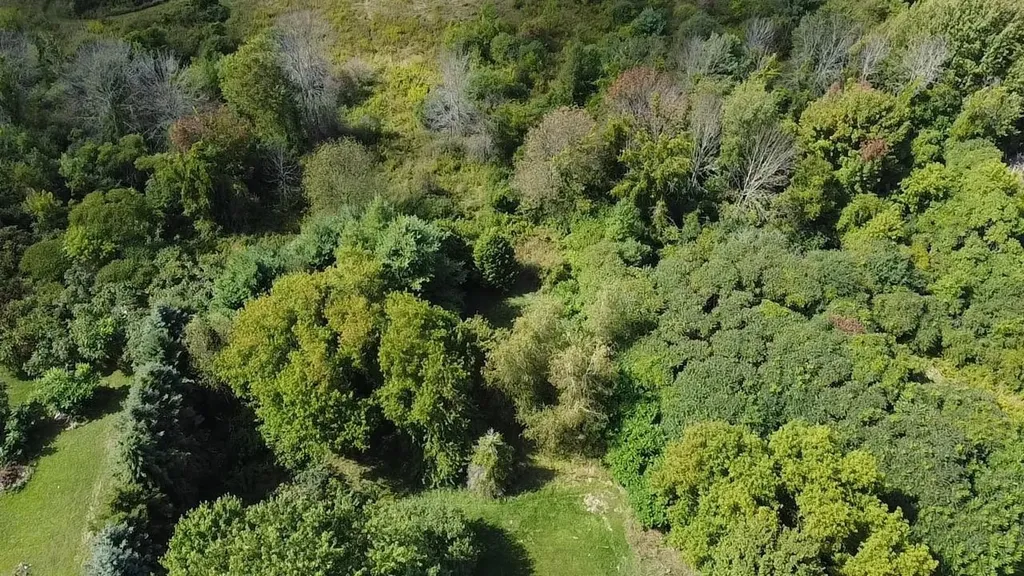 849 Boutah Road Alburgh VT 05440