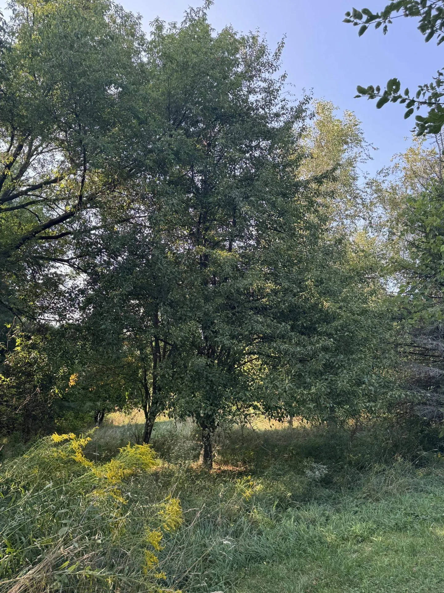 849 Boutah Road Alburgh VT 05440