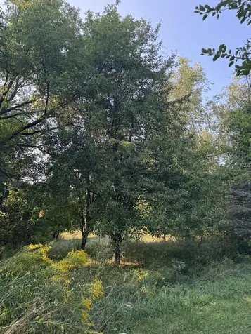 849 Boutah Road Alburgh VT 05440