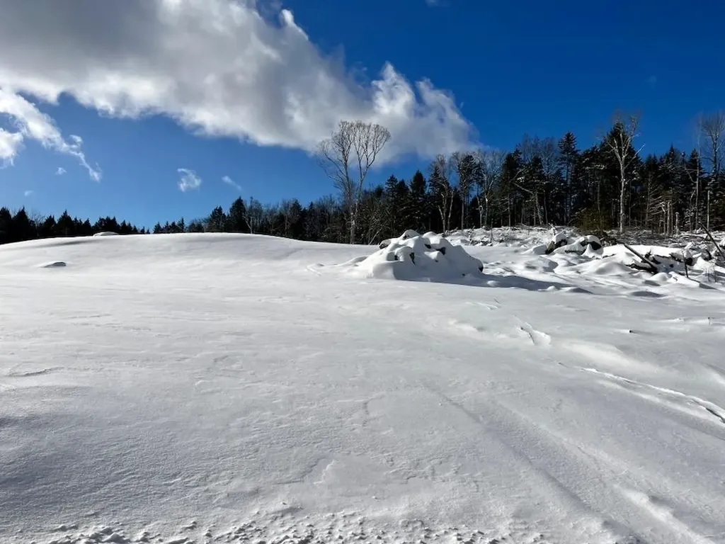 00 Parker Lane Weston VT 05161