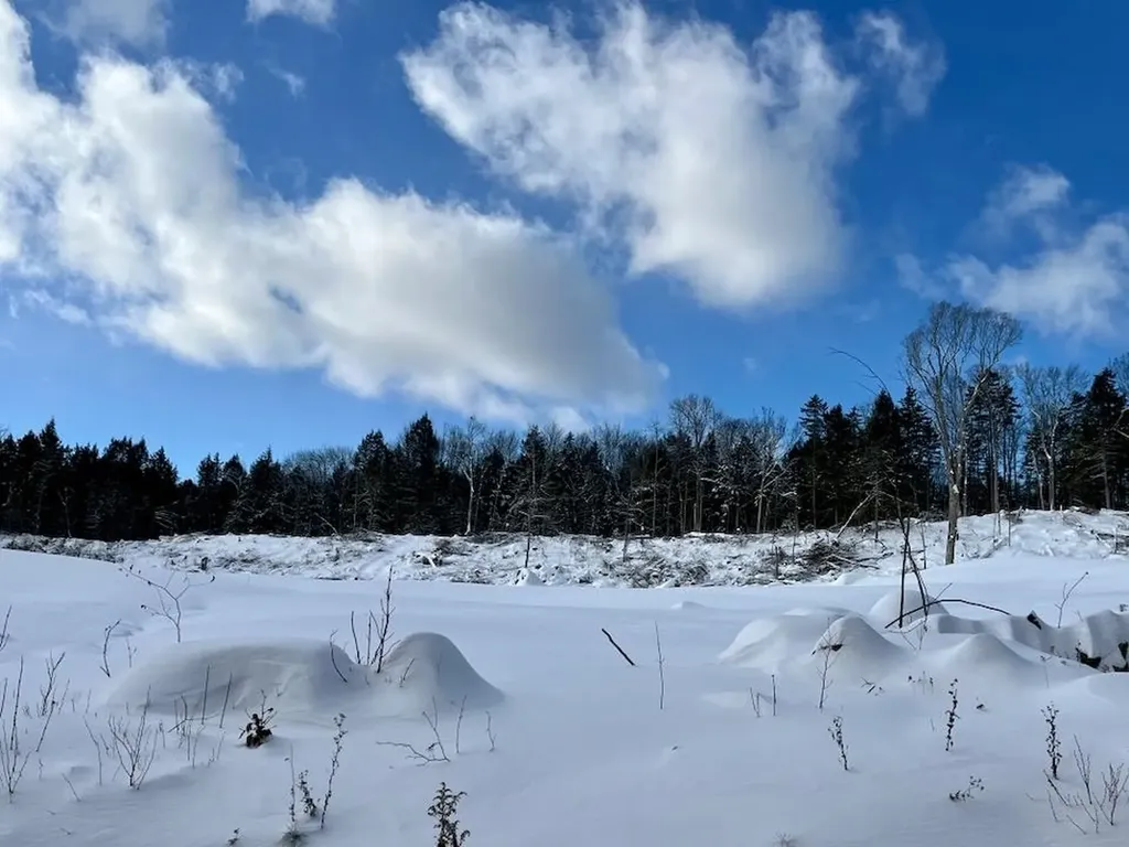 00 Parker Lane Weston VT 05161